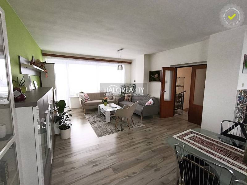A living room in a family house with a wooden decor floor, light couches, green wall.