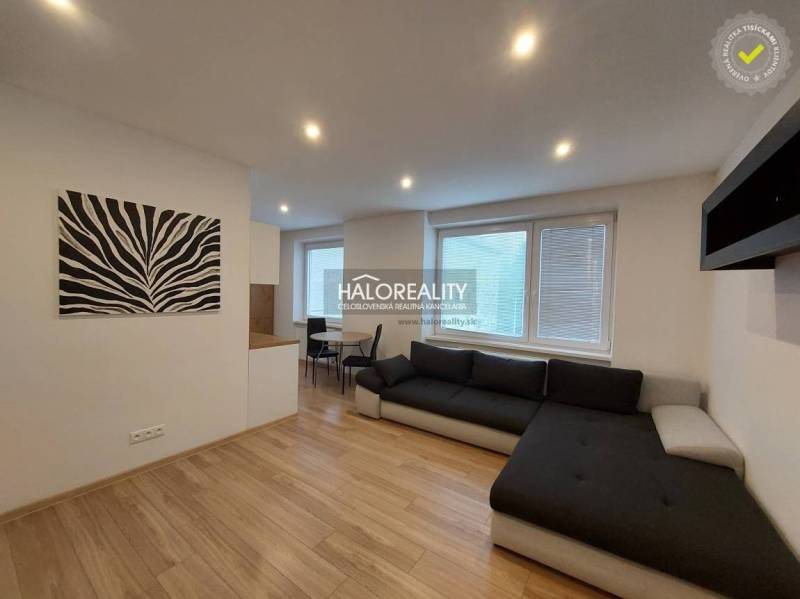Living room in a two-room apartment with a sofa and wooden decor flooring.