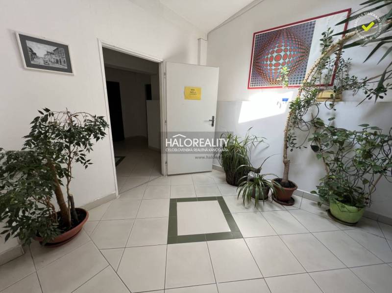 An interior with green plants, paintings, and open doors on the tiles.