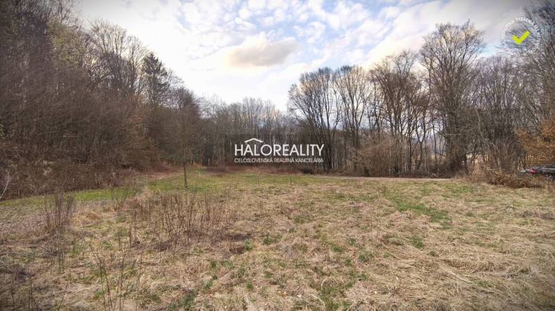 A grassy clearing surrounded by forest on recreational grounds in Ladomerská Vieska.