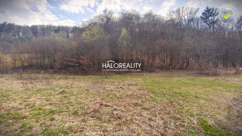 Recreational lands of Ladomerská Vieska surrounded by forest and grassy area.