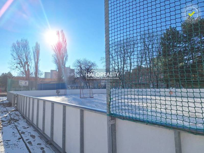 The ice rink in Petržalka, Bratislava, surrounded by trees and sunny weather.