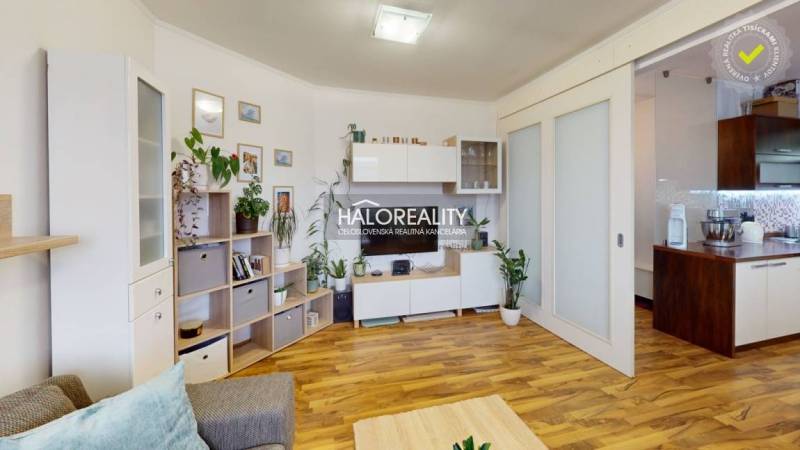 Living room with wooden floor decor, cozy decorations, and houseplants in a two-room apartment.