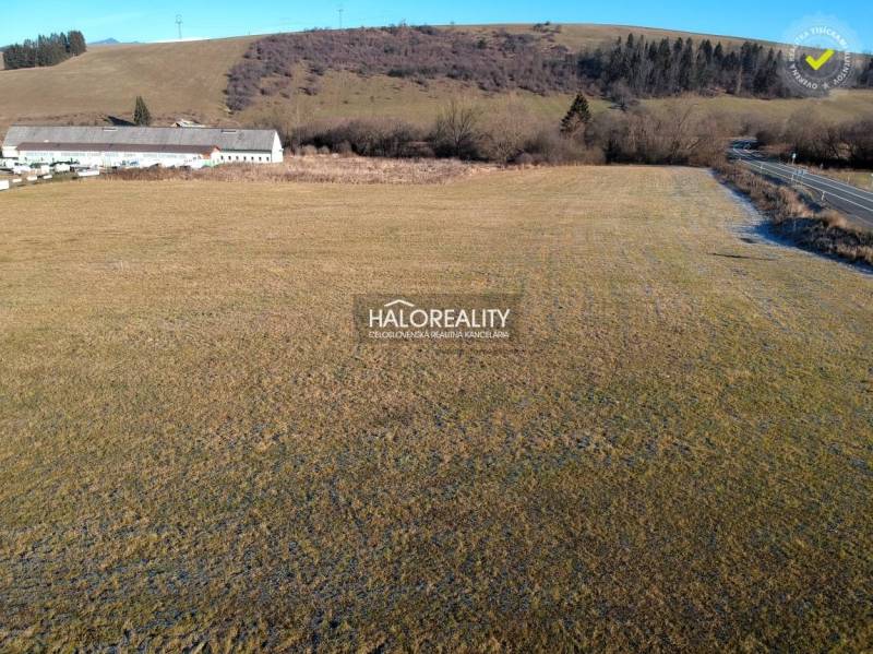 Extensive green plot designated for residential use in Gôtovany, close to the road and forest vegetation.