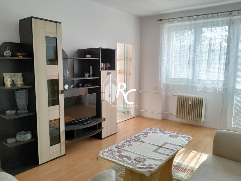 Living room with seating, furniture, and wood-patterned flooring in a two-room apartment.