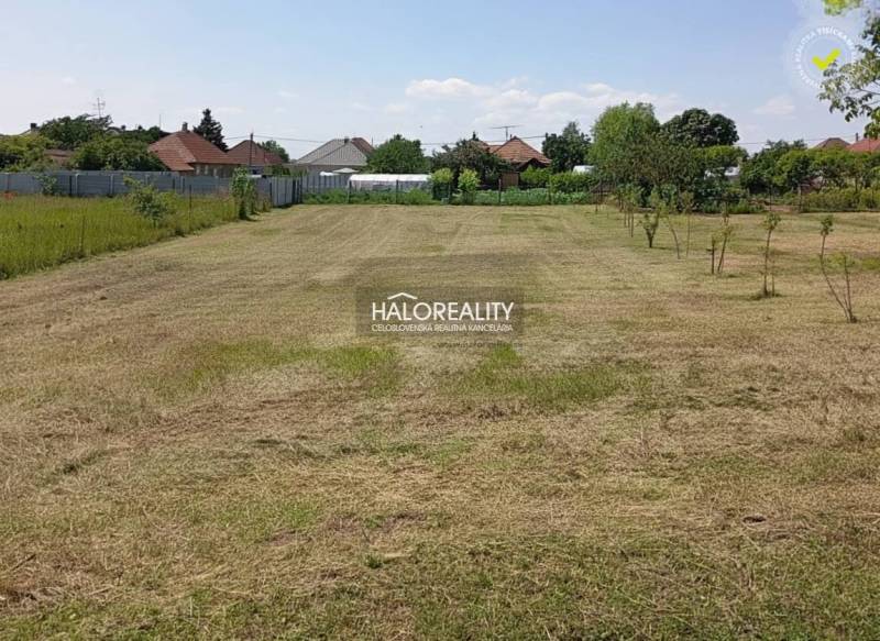 A well-maintained lawn in Marcelová's gardens with a view of the surrounding houses.