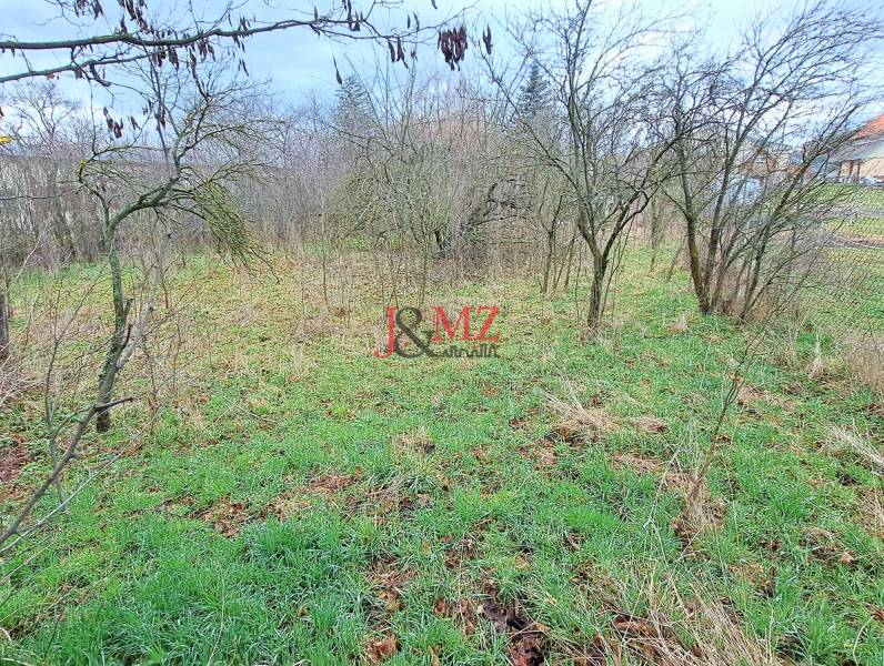 Greenery and trees on a residential plot in Levice.