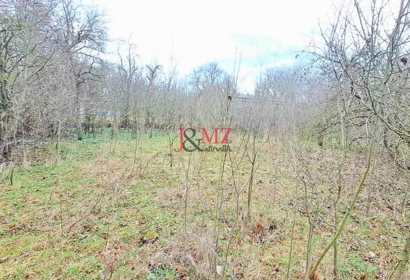 A plot of land for housing in Levice with growing trees and grass.