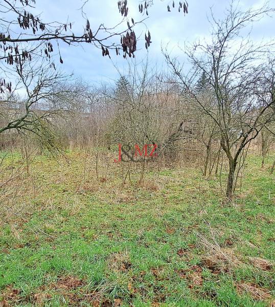 Lands - housing in Levice with vegetation and grassy surface.