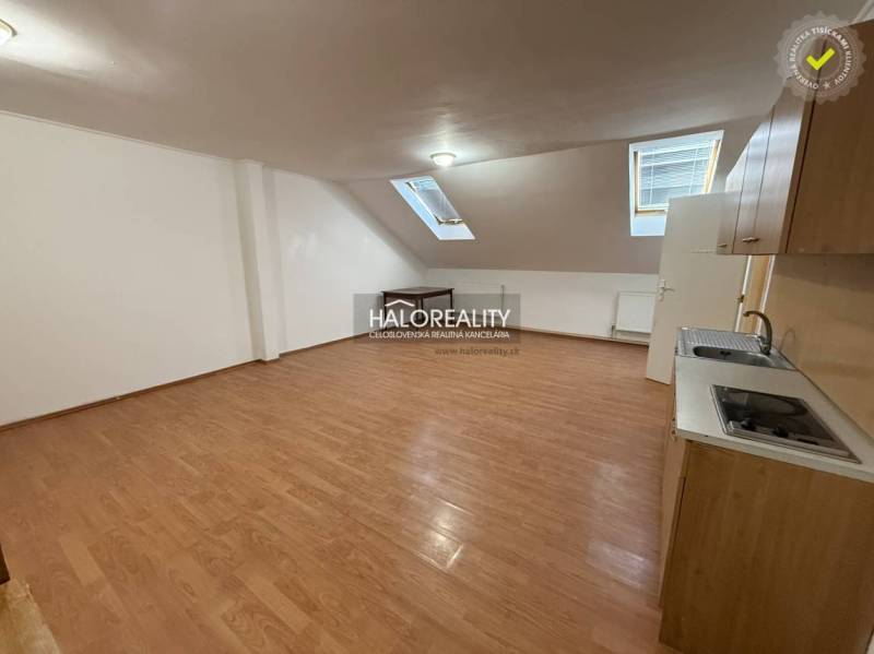 Studio apartment with a kitchenette, slanted ceilings, and a wooden decor floor.