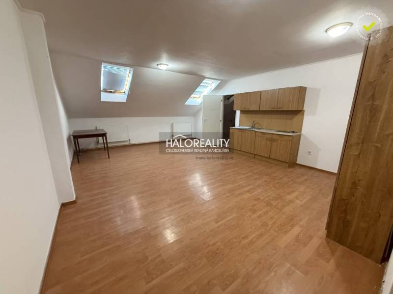 Studio apartment with wood-patterned flooring, a kitchenette, and two skylights.