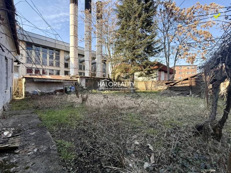 The garden of a family house in Rimavská Sobota with trees and an adjacent building.