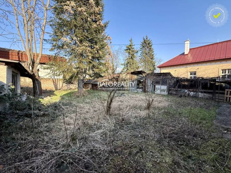 A garden surrounding a family house in Rimavská Sobota with grass and trees.