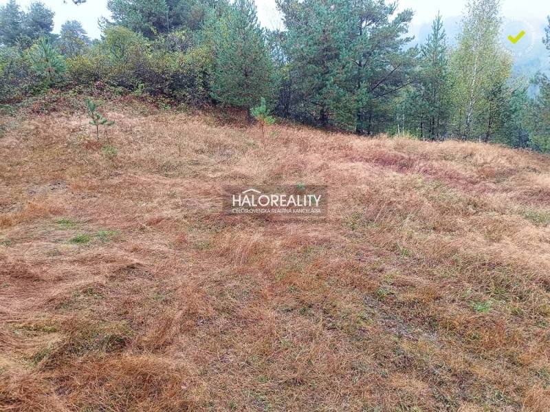 Lands - housing in Gelnica with grassy vegetation and surrounding trees.