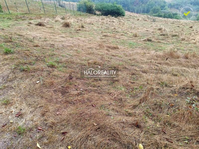 Greenery and gently rolling terrain on plots suitable for living in Gelnica.