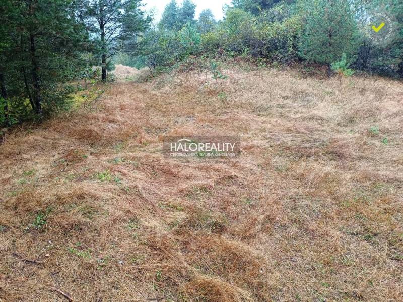 A wooded plot in Gelnica suitable for living, surrounded by nature and greenery.