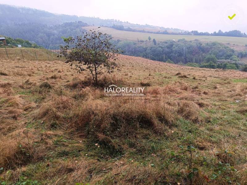 A garden in Gelnica on a gently sloping terrain suitable for plots - housing.