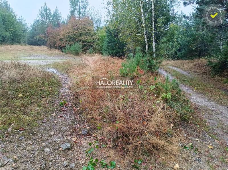 A forest plot for housing in the town of Gelnica with a path between trees and shrubs.