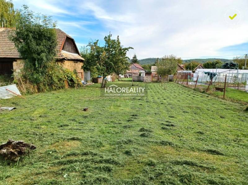 Mowed gardens in Terany with wooden buildings and trees in the background.