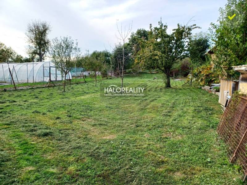 Gardens in Terany with fruit trees, lawn, and a greenhouse, surrounded by nature.