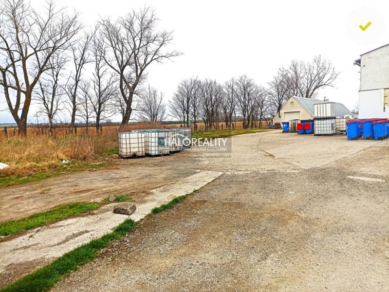In the yard, storage containers, waste bins, background with bare trees and offices.