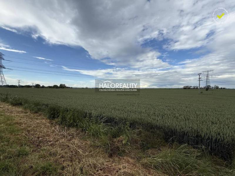 Agricultural and forest lands around Hula with power lines on the horizon.
