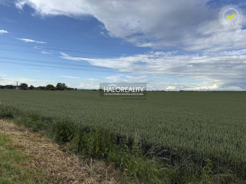 Vast agricultural and forest lands in the Hul area under the blue sky.