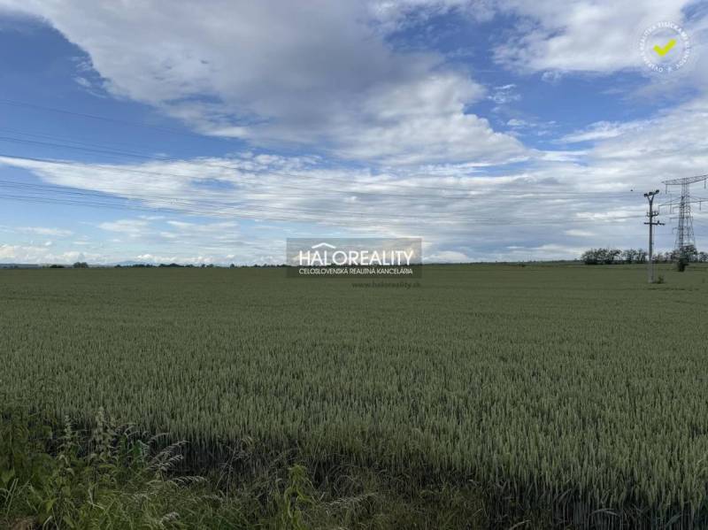 Vast agricultural lands - housing around Hul with power lines and blue sky.