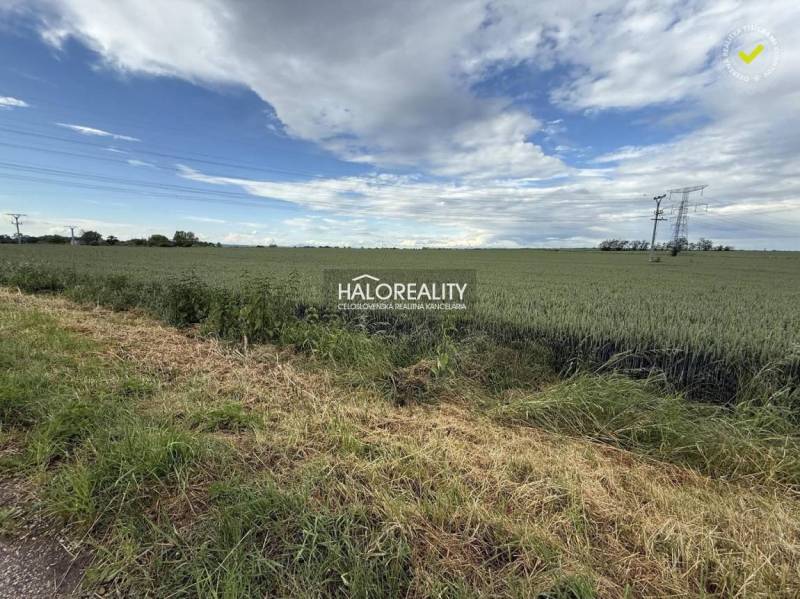Extensive fields in Hula for plots - housing, under power lines, blue sky.