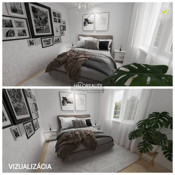 A bedroom in a two-room apartment with a bed, lots of pictures, and greenery.