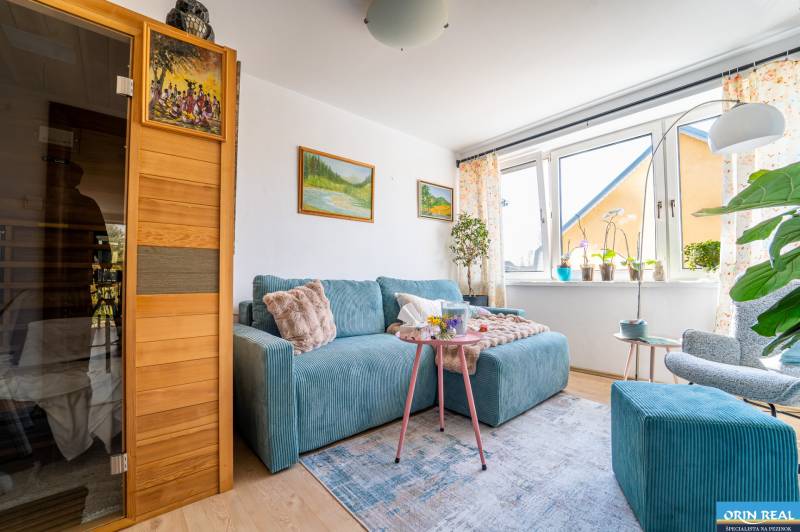 A comfortable living room of a family house with a blue sofa, a sauna, and a wooden decor floor.