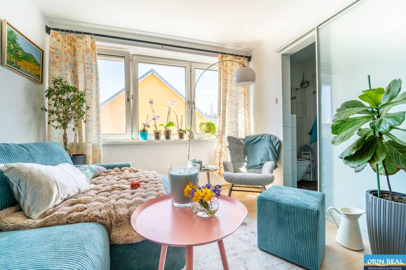 Living room in a family house with a blue sofa, plants, and a table with decorations.