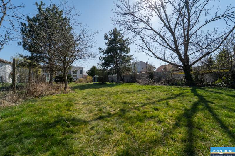 A garden at a family house on Bratislavská Street in Pezinok, surrounded by trees.