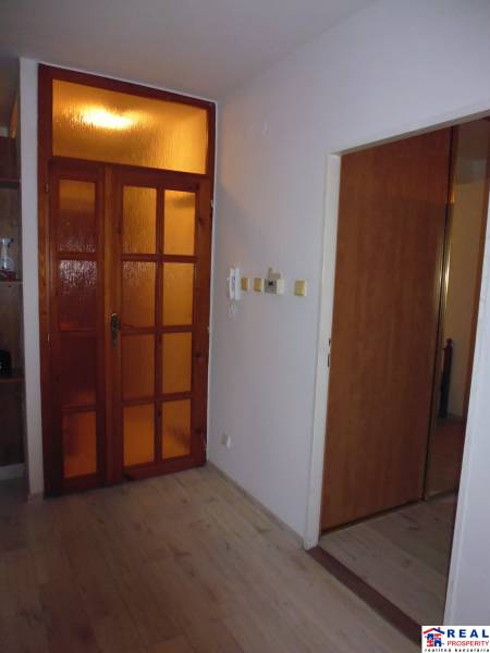 A hallway with a wooden decor floor and glass doors in a 2-room apartment.