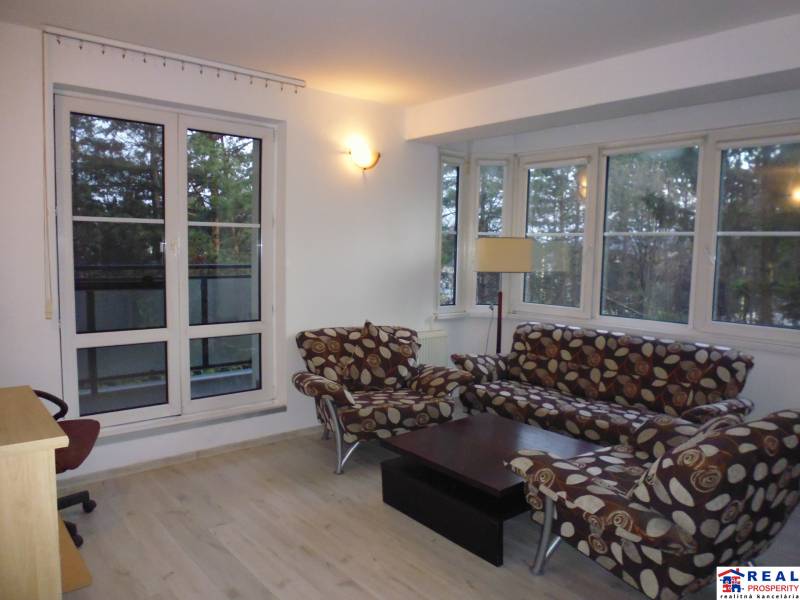 Living room in a two-room apartment with windows, wood-patterned flooring, and upholstered furniture.
