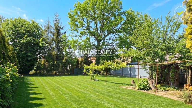 The garden of a family house in Lučenec with a lawn surrounded by trees and plants.