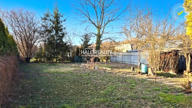 A garden at a family house in Lučenec with a lawn and trees, without modifications.