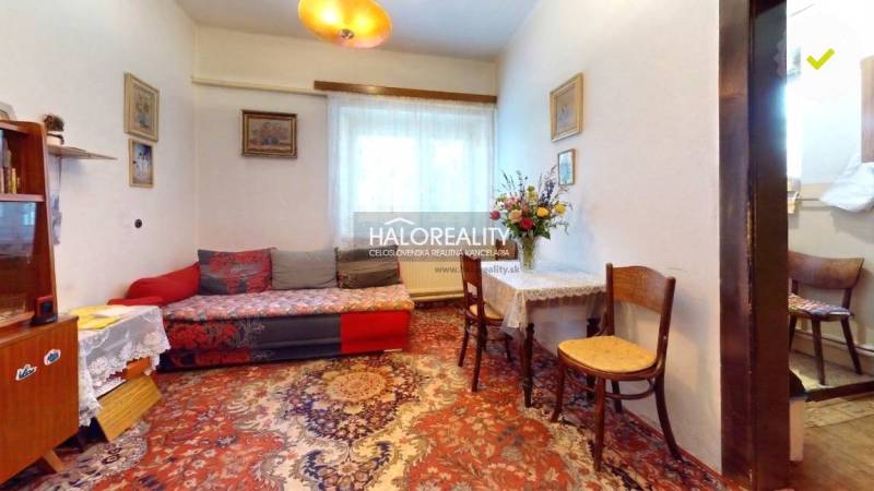 Living room in a family house with a carpet, couch, and a table with flowers.