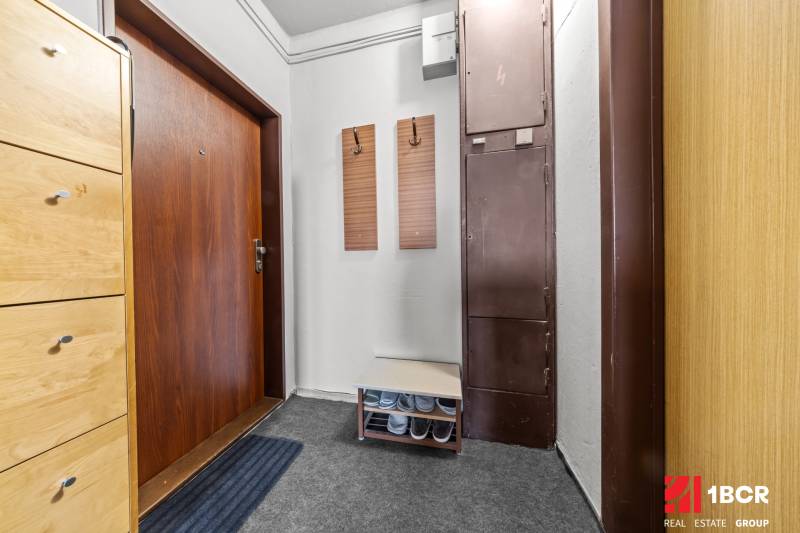 Entrance hall with a wardrobe and a shoe cabinet in a 3-room apartment with a wooden decor floor.