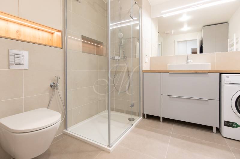 Bathroom in a 2-room apartment with a toilet, shower corner, and washbasin cabinet.