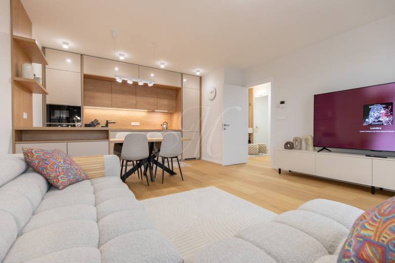 Living room in a two-room apartment with a kitchen, sofa, and television.