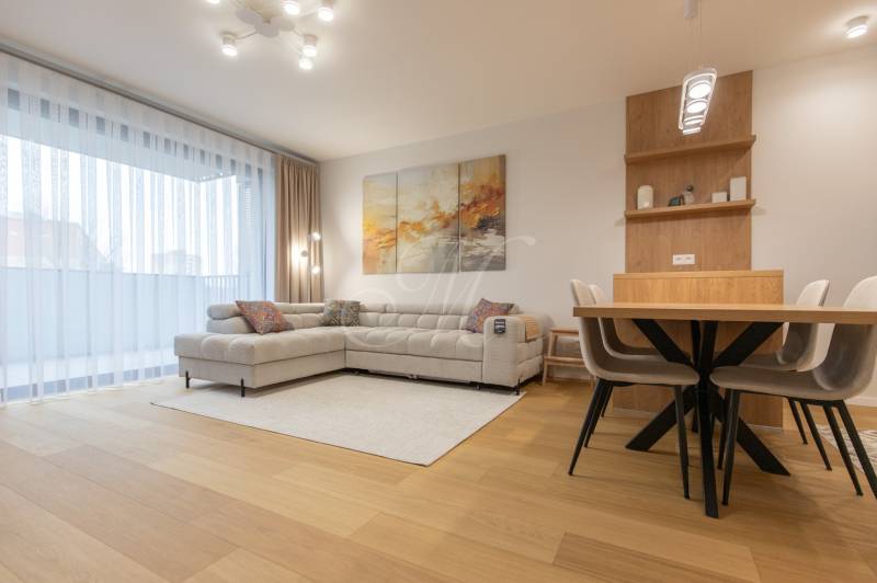 Living room in a 2-room apartment with a sofa, dining table, and wooden decor flooring.