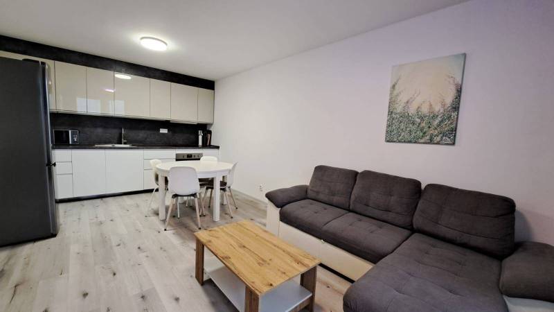 Living room with kitchen in a family house, sofa, table, and floor with wooden decor.