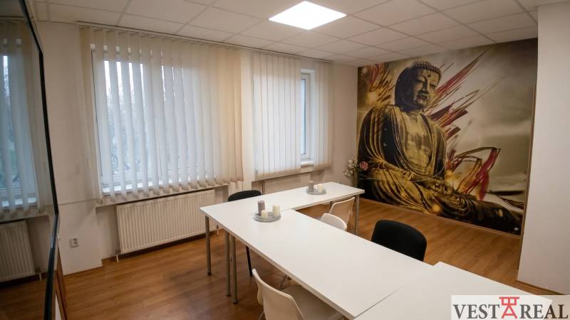 Offices with a large image of Buddha and a floor with wooden decor.