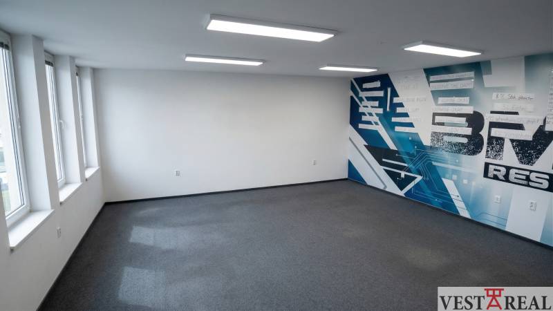 Office spaces with windows and a blue mural.