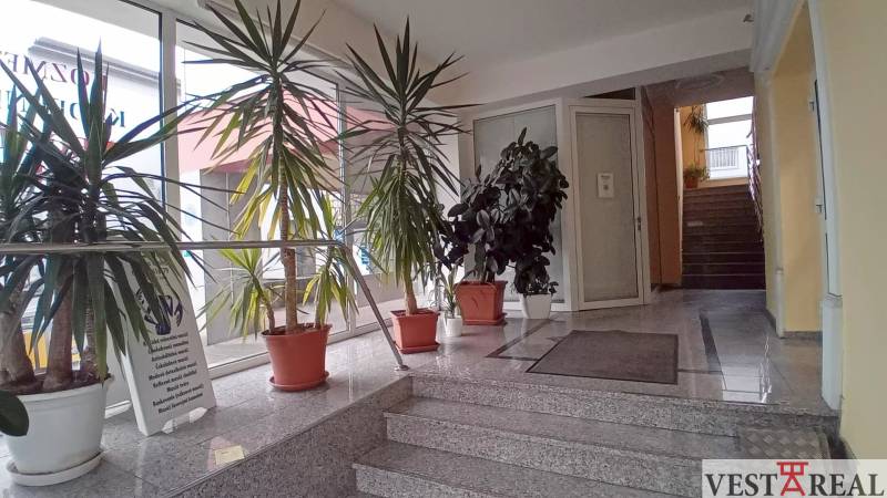Interior of an office with potted plants and marble stairs.