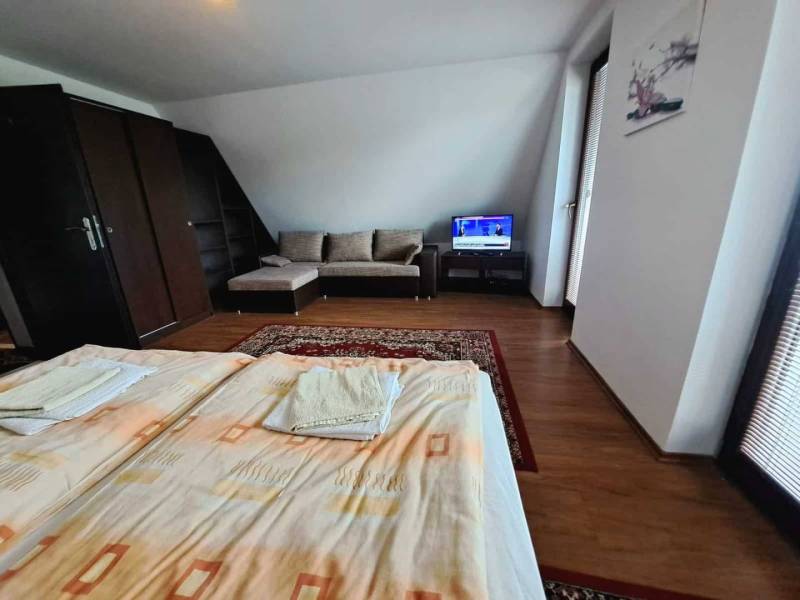 A bedroom in a 3-room apartment with a wooden decor floor, a sofa, and a television.