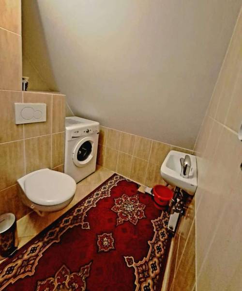 Bathroom in a 3-room apartment with a washing machine and carpet decor on the floor.