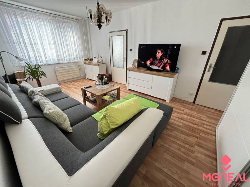 Living room in a 3-room apartment with wood-patterned flooring, large sofa, television.