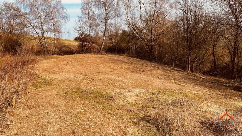 Recreational plots in Nová Kelča, with grass and trees on a gentle slope.